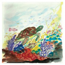 Turtle and Coral Reef